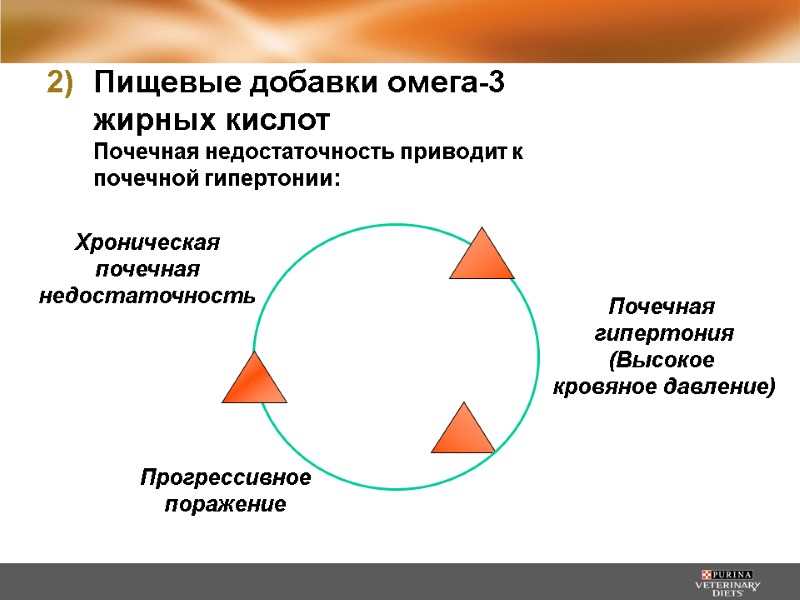 Хроническая почечная недостаточность  Почечная  гипертония (Высокое  кровяное давление)  Прогрессивное поражение